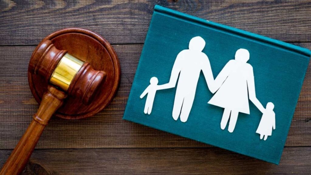 The Family Lawyer's Role in Domestic Violence Cases